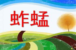 幼兒園動物兒歌蚱蜢PPT課件配音音樂