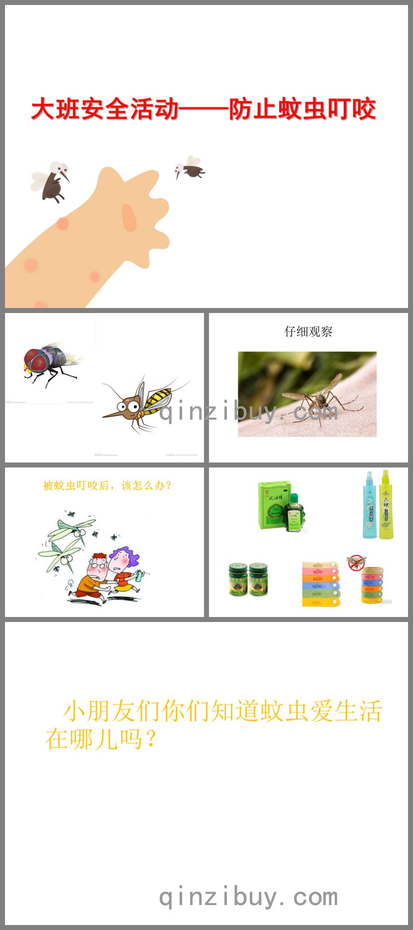 大班安全防止蚊蟲叮咬PPT課件