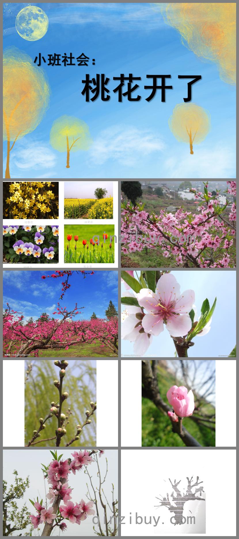 小班社會桃花開了PPT課件