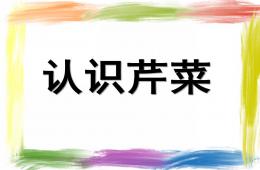 中班科學認識芹菜PPT課件