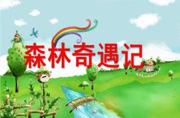 大班數學森林奇遇記PPT課件
