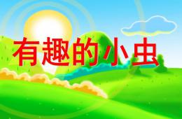 中班科學有趣的小蟲PPT課件