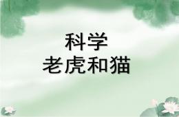 中班科學老虎和貓PPT課件