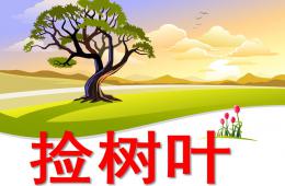 中班語言撿樹葉PPT課件