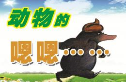 小班科學動物的嗯嗯PPT課件