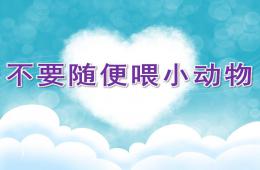 中班社會不要隨便喂小動物PPT課件