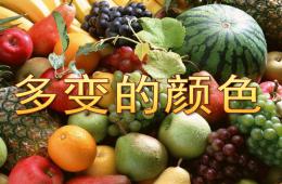 大班美術活動多變的顏色PPT課件