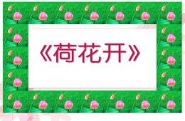 中班主題兒歌荷花開PPT課件