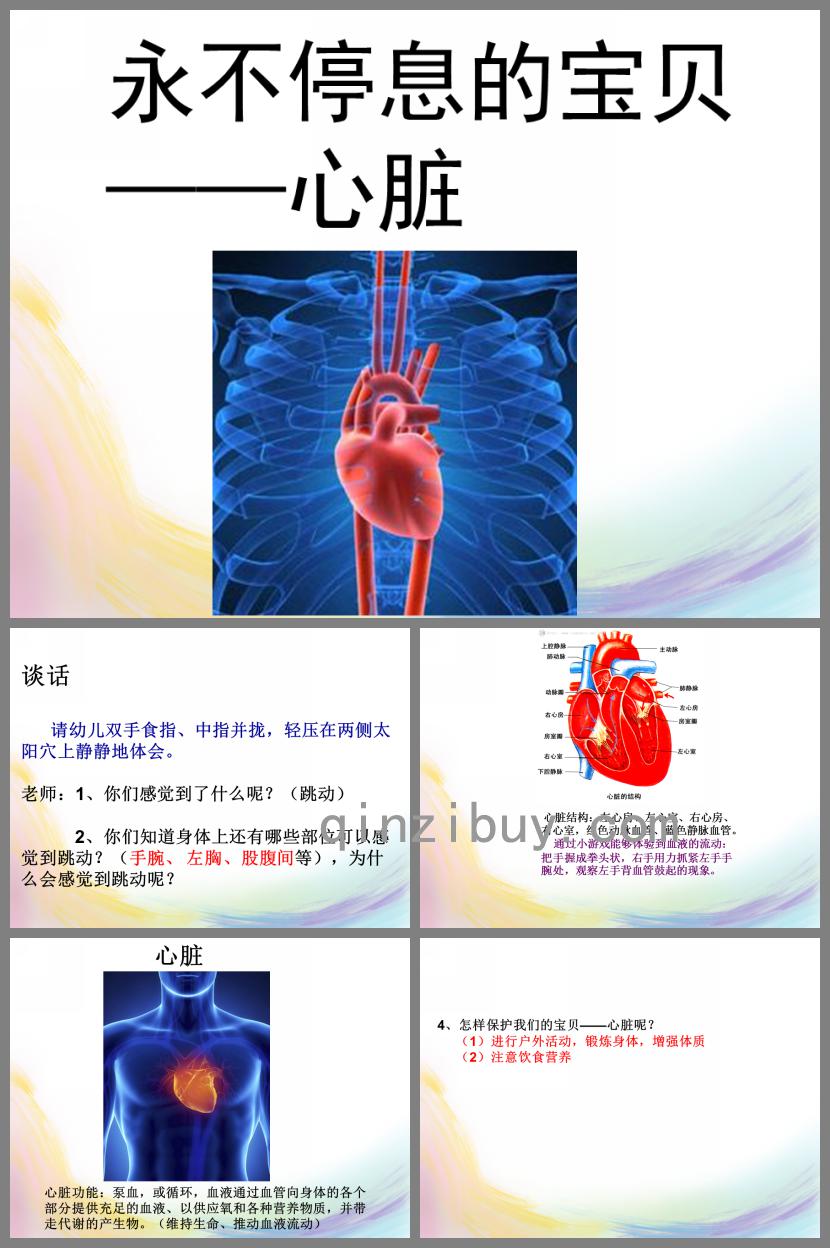 大班健康主題永不停息的心臟PPT課件