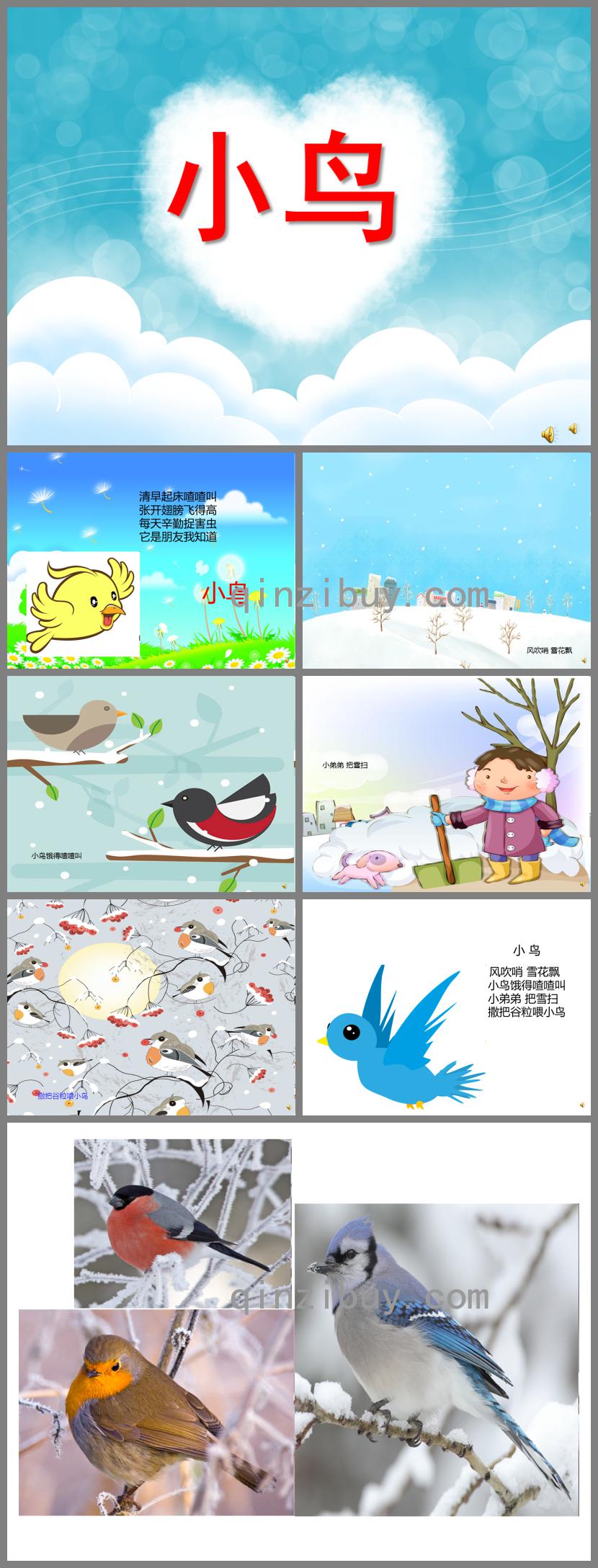 幼兒園動(dòng)物兒歌小鳥PPT課件配音音樂(lè)