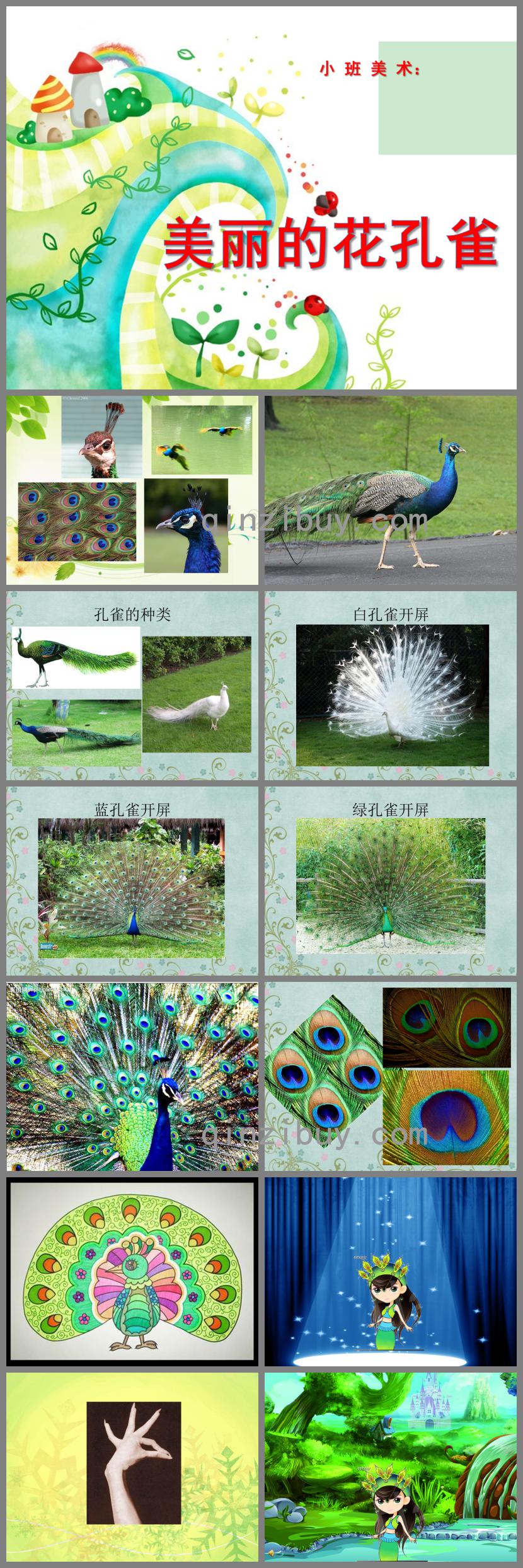小班美術孔雀PPT課件