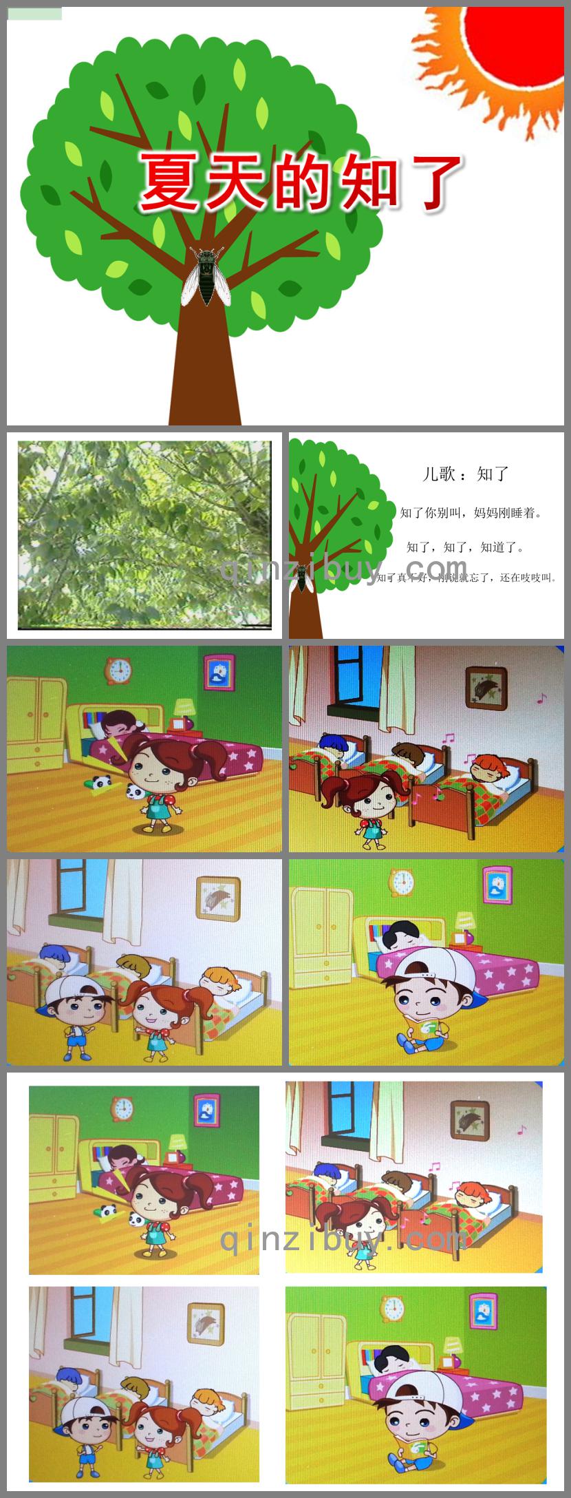 小班兒歌夏天的知了PPT課件
