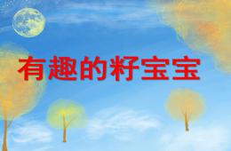 中班科學活動有趣的籽寶寶PPT課件