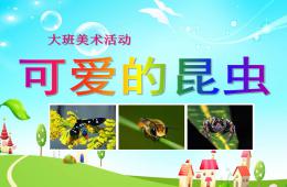 大班美術(shù)活動(dòng)可愛的昆蟲PPT課件