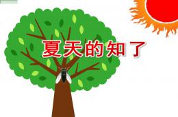 小班兒歌夏天的知了PPT課件