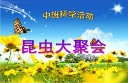 中班科學蟲子聯歡會PPT課件