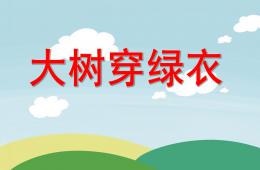 小班美術大樹穿綠衣PPT課件