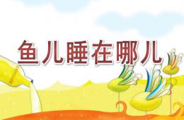 中班兒歌魚兒睡在哪兒PPT課件
