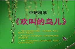 中班科學歡叫的鳥兒PPT課件