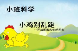 小班科學小雞別亂跑PPT課件