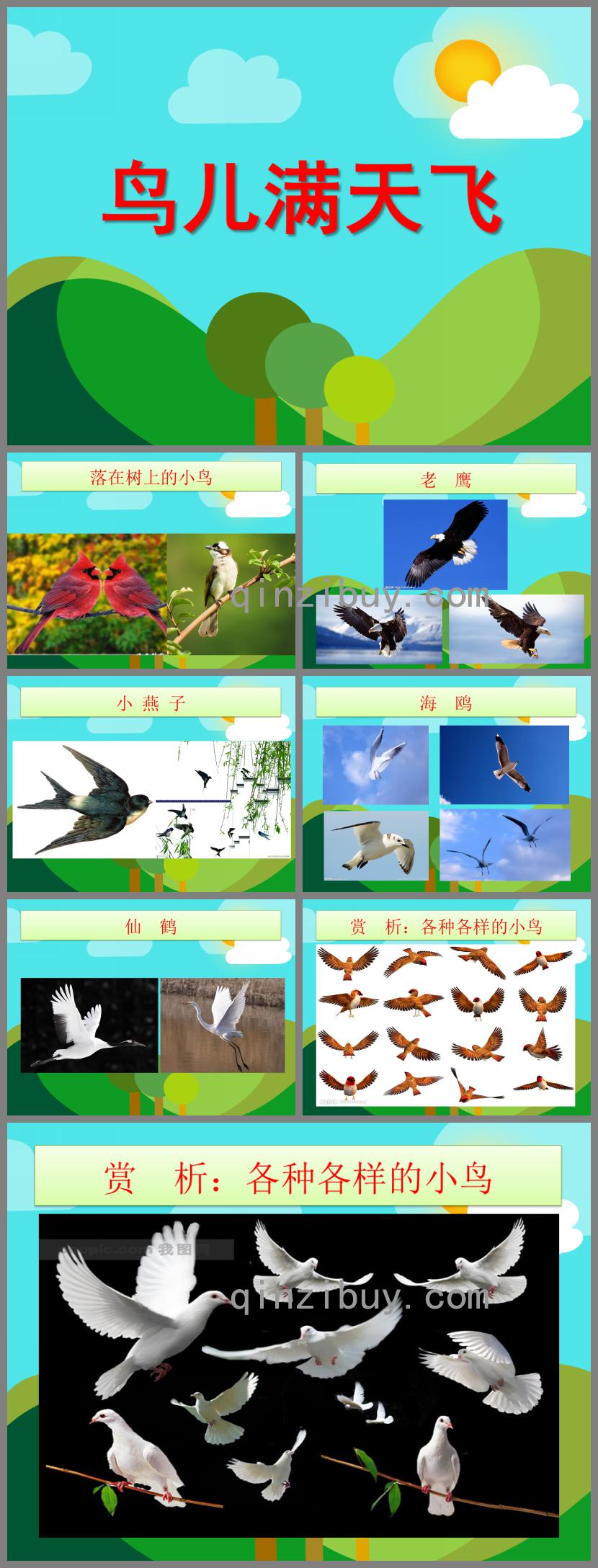 大班美術活動鳥兒滿天飛PPT課件