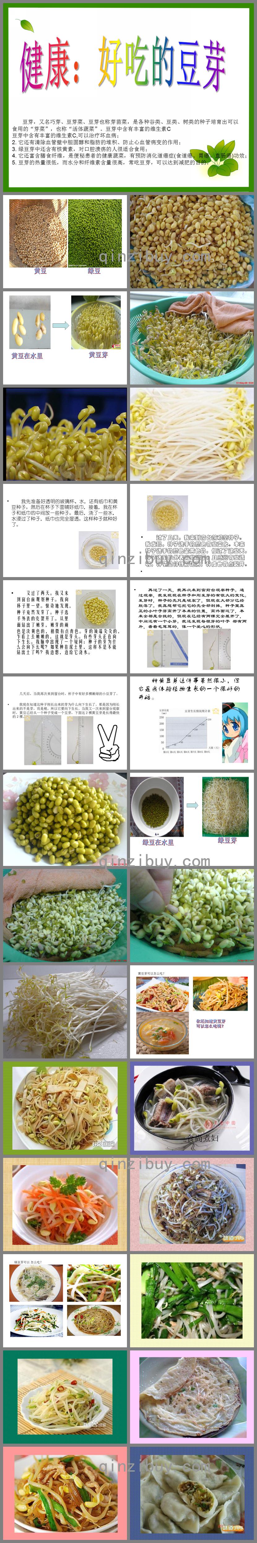 中班科學好吃的豆芽PPT課件