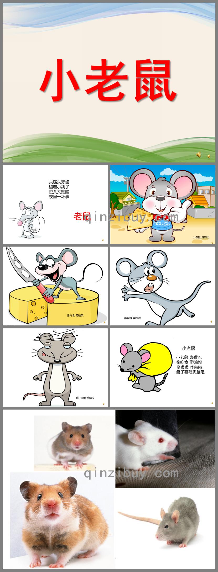 幼兒園動物兒歌小老鼠PPT課件配音音樂