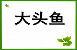 大班美術(shù)大頭魚PPT課件