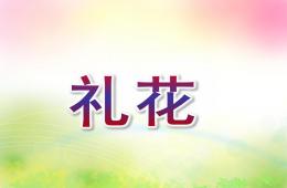 大班美術(shù)禮花PPT課件
