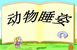 中班科學動物睡姿PPT課件