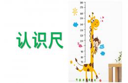 中班科學(xué)活動認(rèn)識尺PPT課件