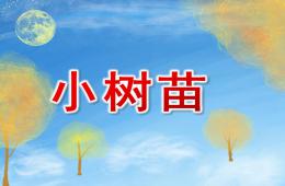 小班語言小樹苗PPT課件