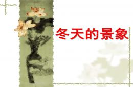 大班主題冬天的景象PPT課件
