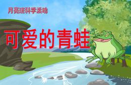 中班科學(xué)可愛的青蛙PPT課件