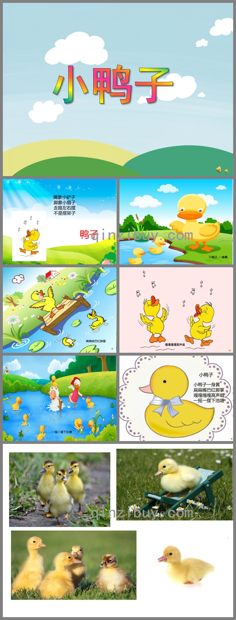 幼兒園動物兒歌小鴨子PPT課件配音音樂