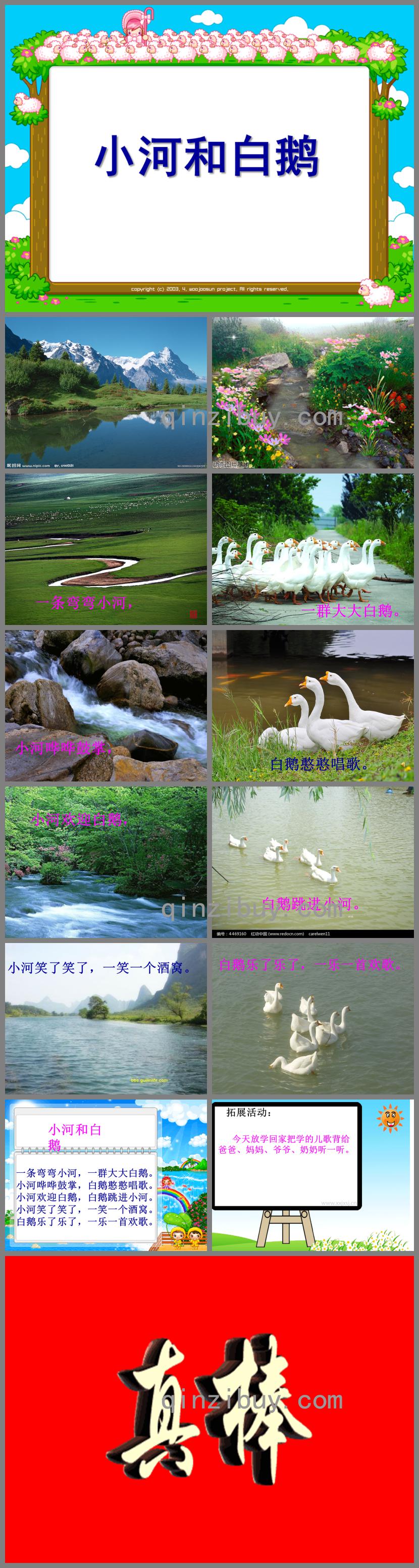 中班語言小河和白鵝PPT課件