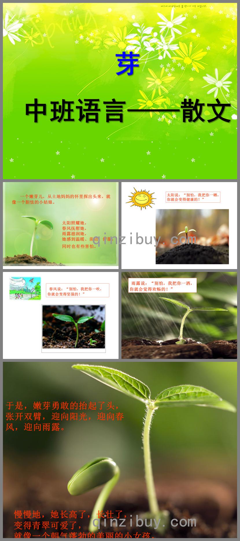 中班散文芽PPT課件