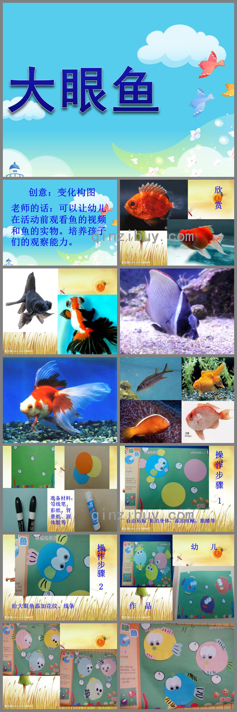 中班科學大眼魚PPT課件