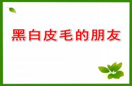 小班美術(shù)黑白皮毛的朋友PPT課件