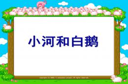 中班語言小河和白鵝PPT課件