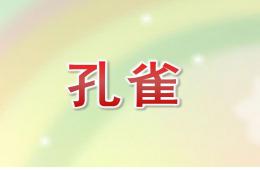 中班科學(xué)孔雀PPT課件