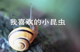 中班科學(xué)我喜歡的小昆蟲PPT課件