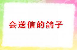 中班科學(xué)會送信的鴿子PPT課件