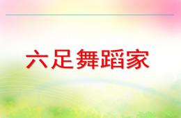 中班科學(xué)六足舞蹈家PPT課件