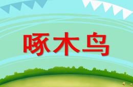 幼兒園動(dòng)物兒歌啄木鳥PPT課件配音音樂