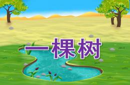 中班美術(shù)繪畫活動一棵樹PPT課件