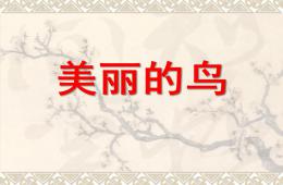中班綜合美麗的鳥PPT課件