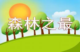 中班科學森林之最-大王花PPT課件