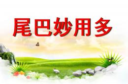 小班語言尾巴的妙用PPT課件