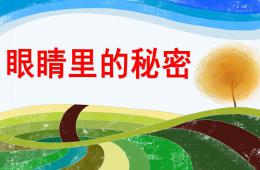 幼兒園健康活動眼睛里的秘密PPT課件